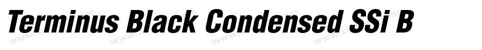 Terminus Black Condensed SSi Bold Condensed字体转换